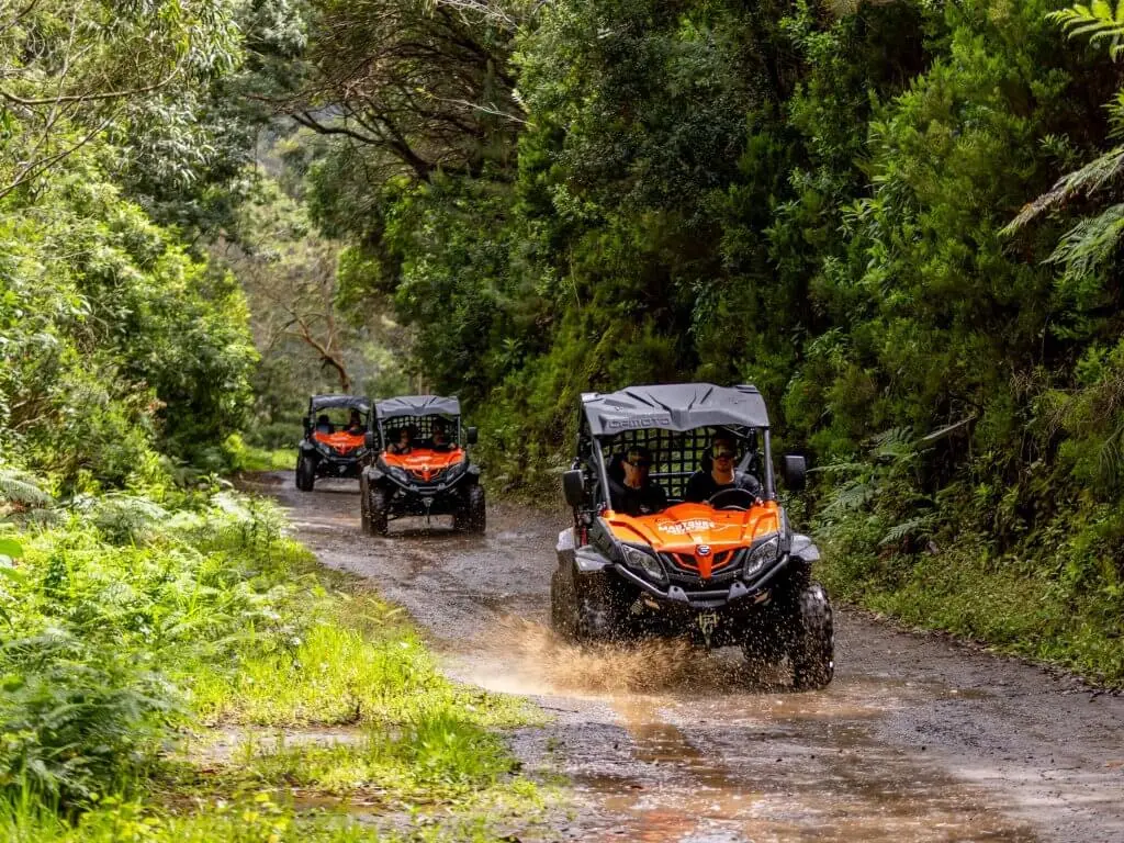 Buggy & off-road