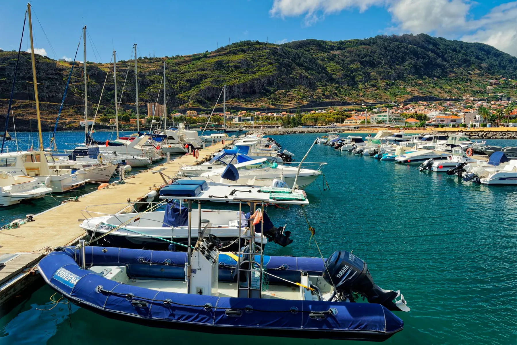 Catamaran & dolphins