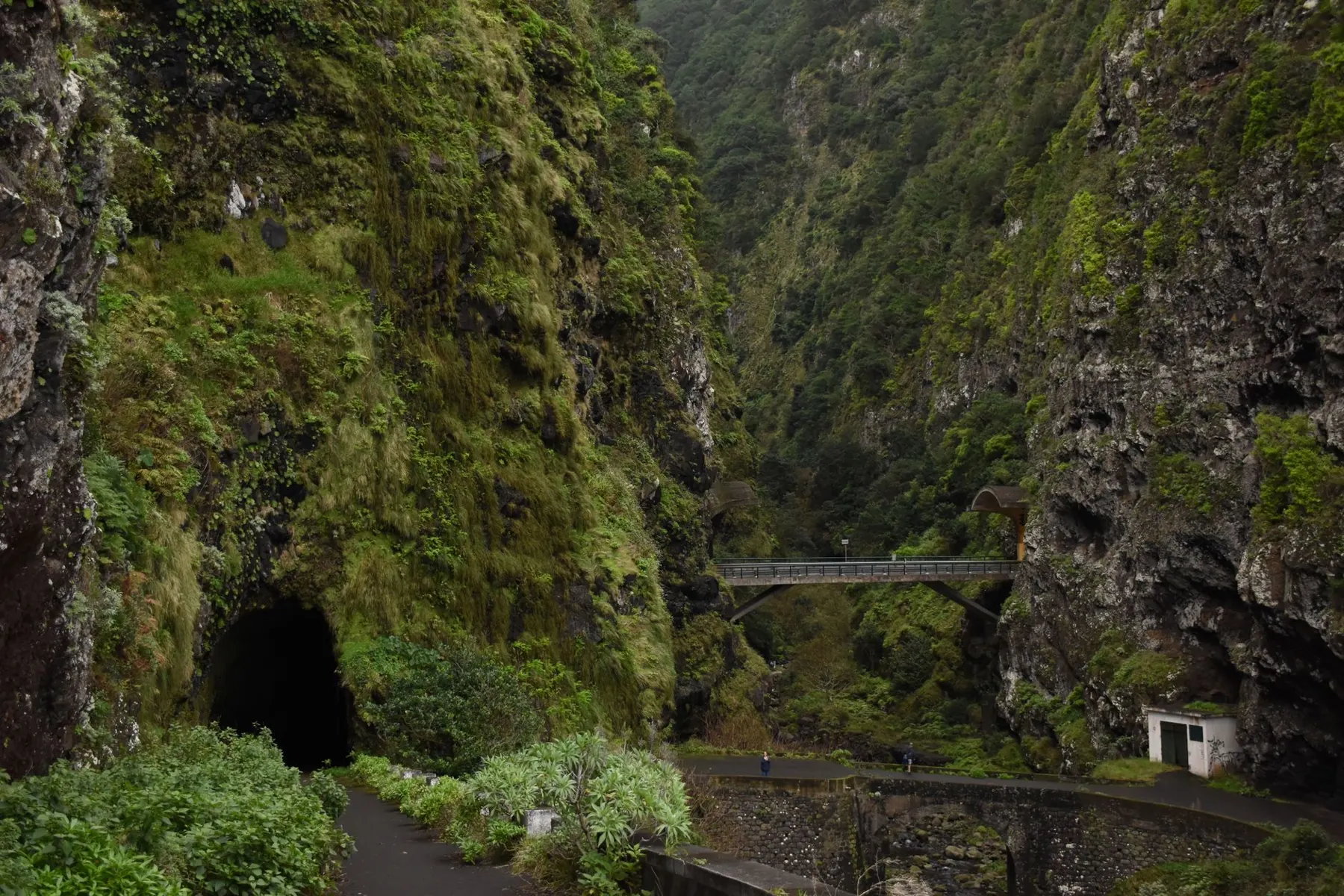 Madeira