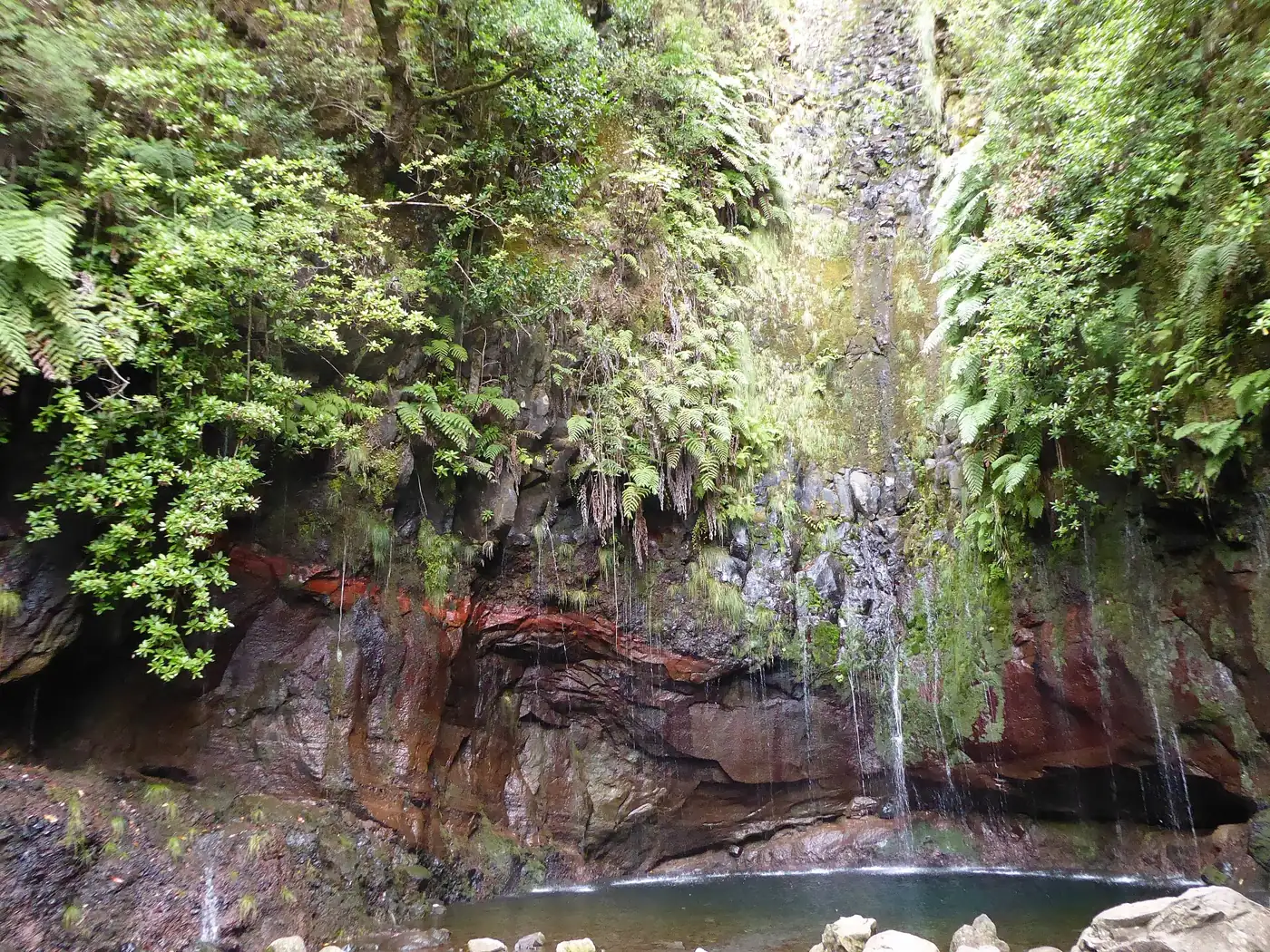 Levada das 25 Fontes · 3