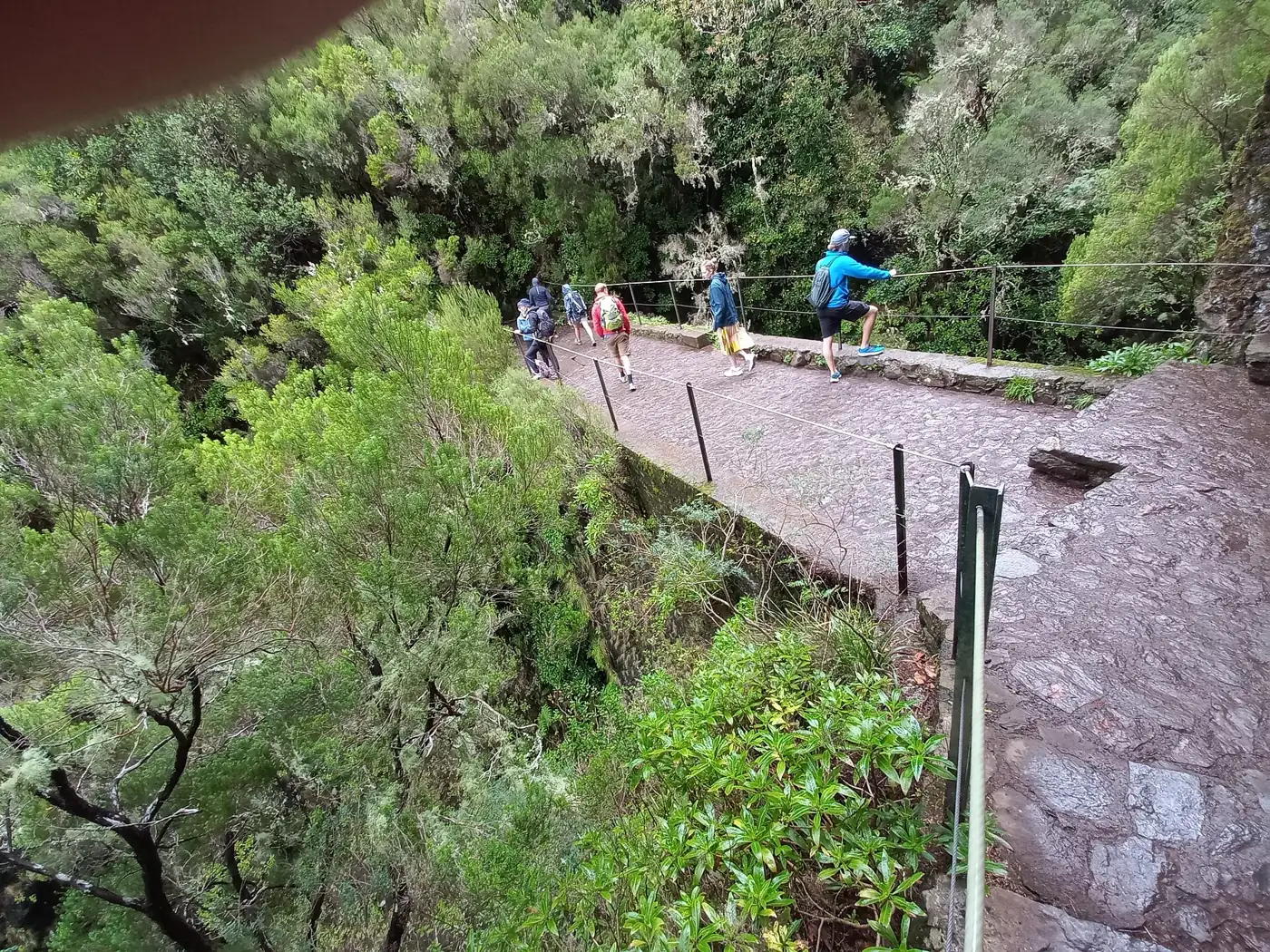 Levada das 25 Fontes · 4