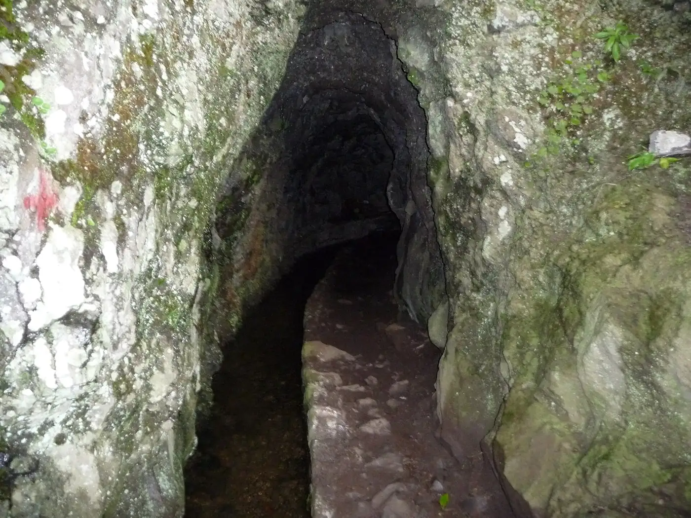 Levada do Caldeirão Verde · 3