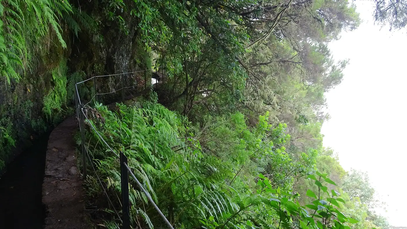Levada do Caldeirão Verde · 5