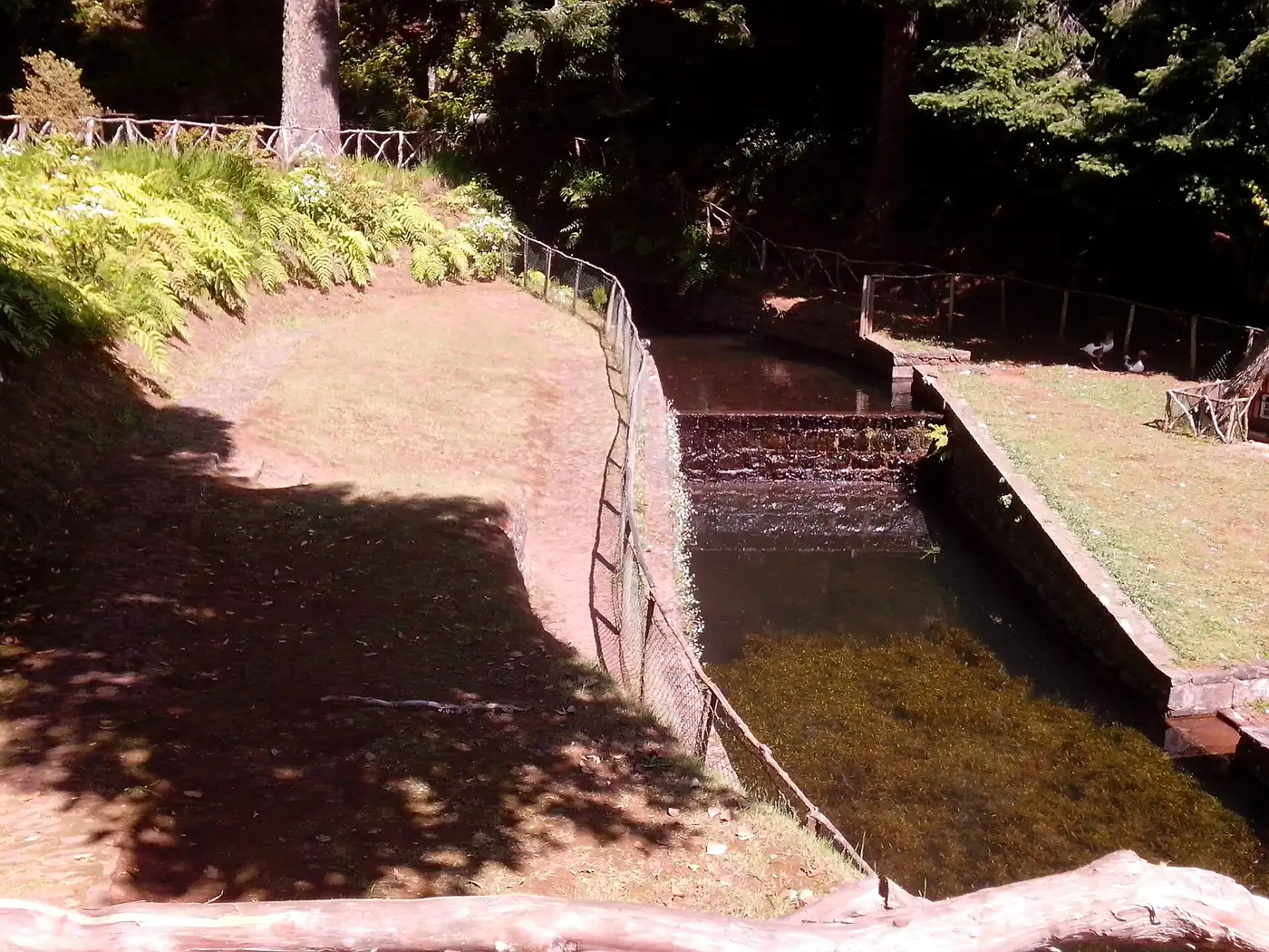 Levada do Caldeirão Verde · ein Weg für alle · 6