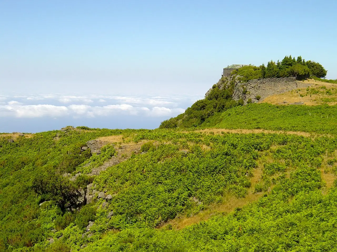 Levada do Barreiro · 3