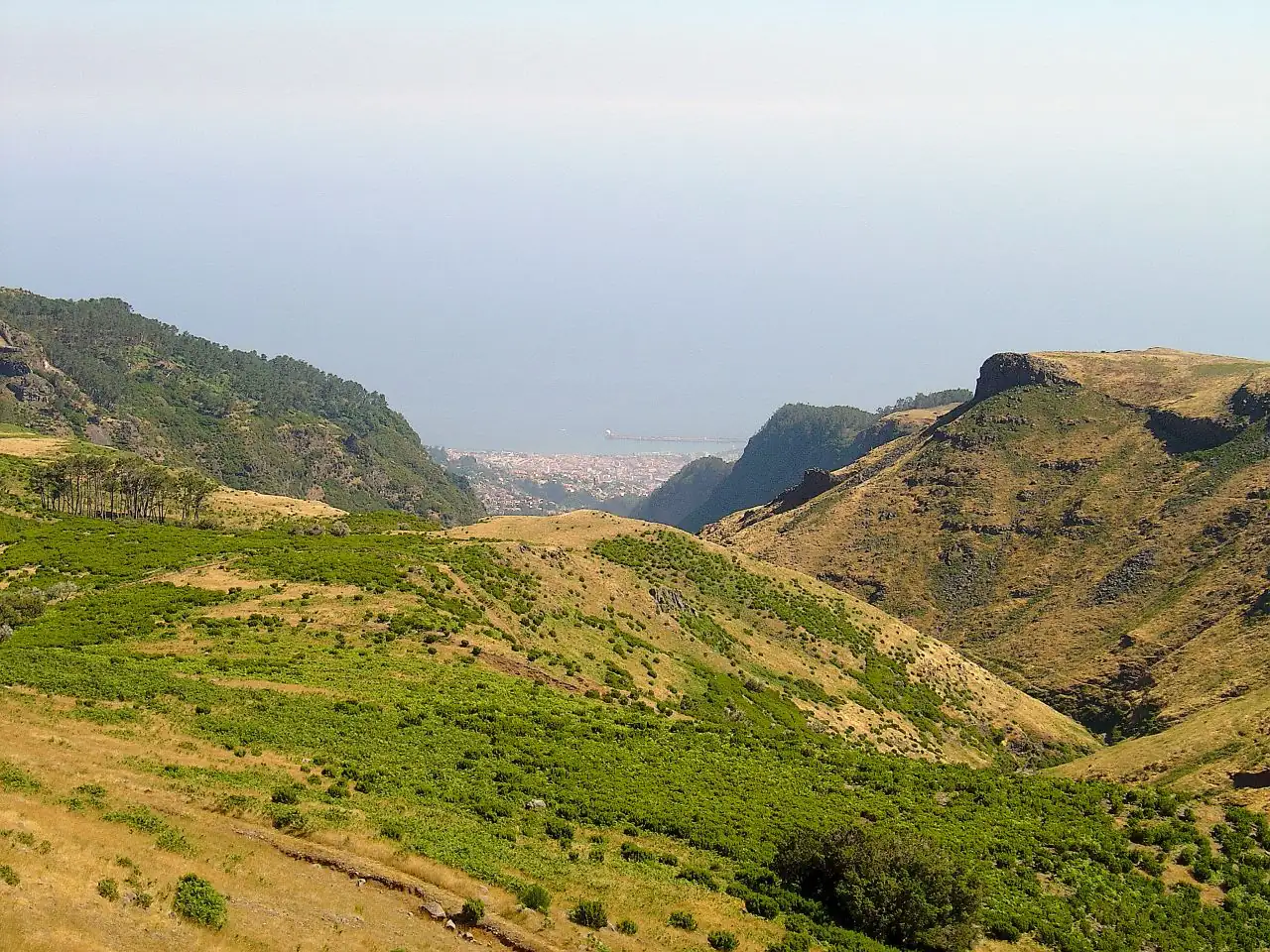 Levada do Barreiro · 4
