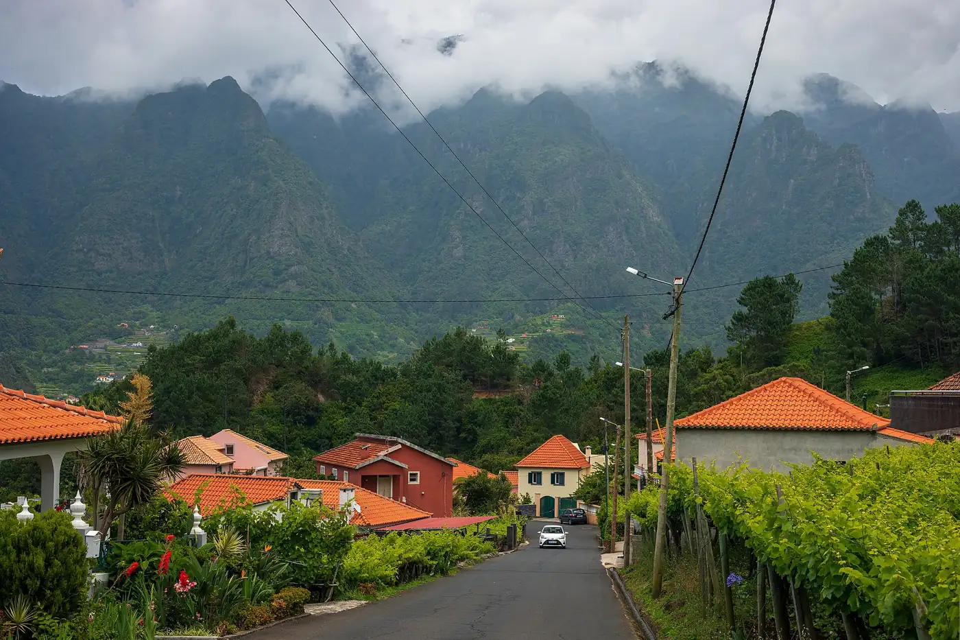 Levada Fajã do Rodrigues · 2