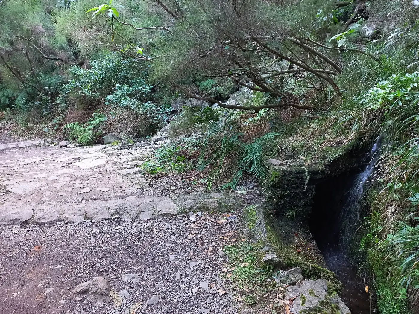 Levada do Risco · 3