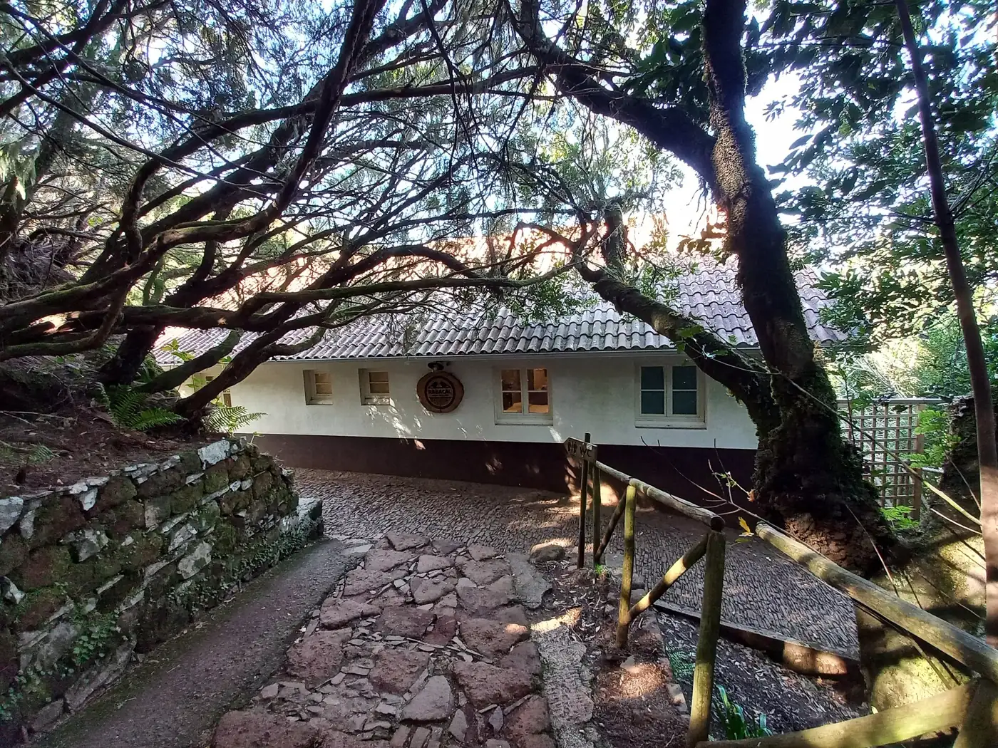 Levada do Risco · 4