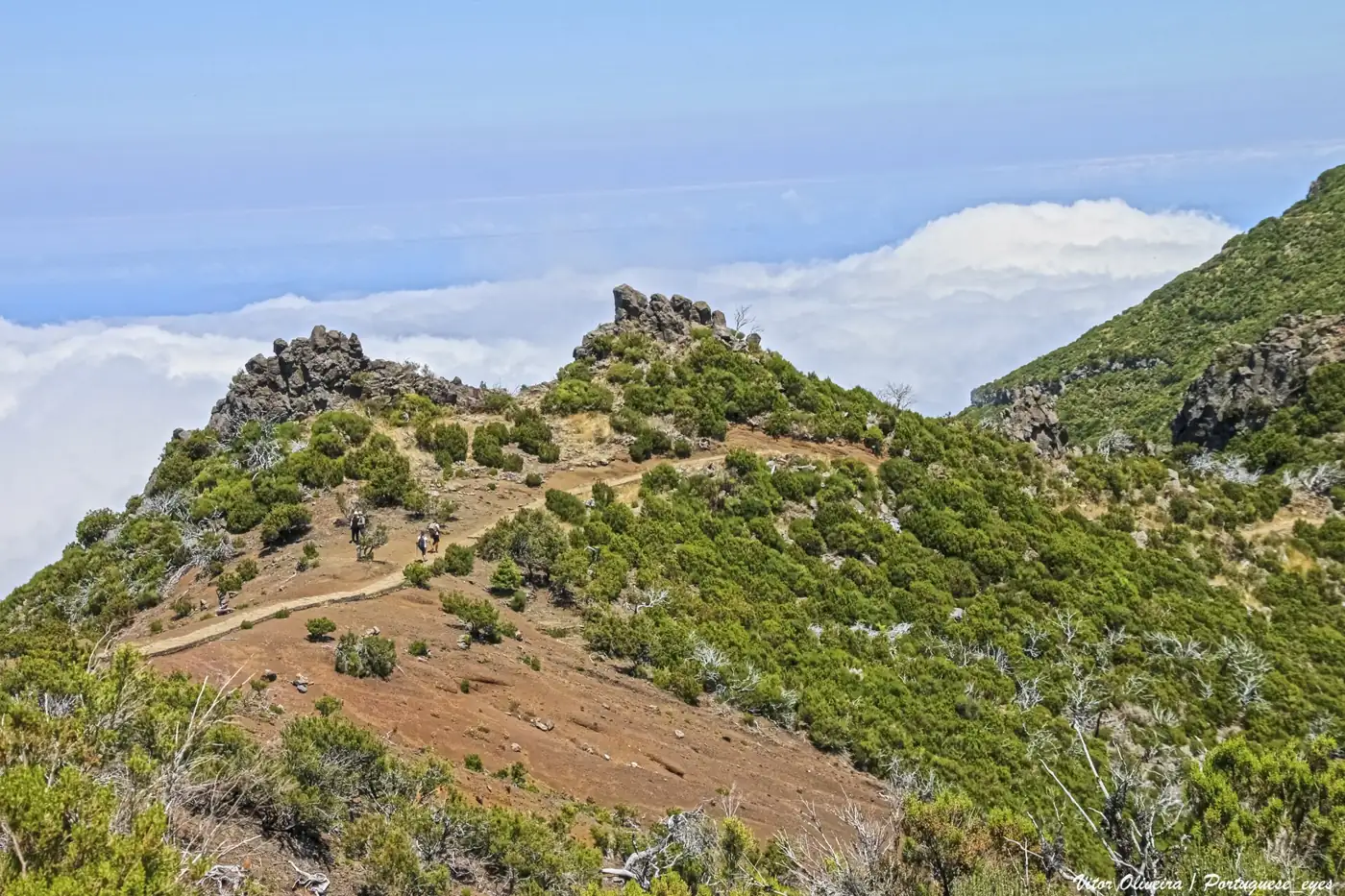 Vereda da Ilha · 3