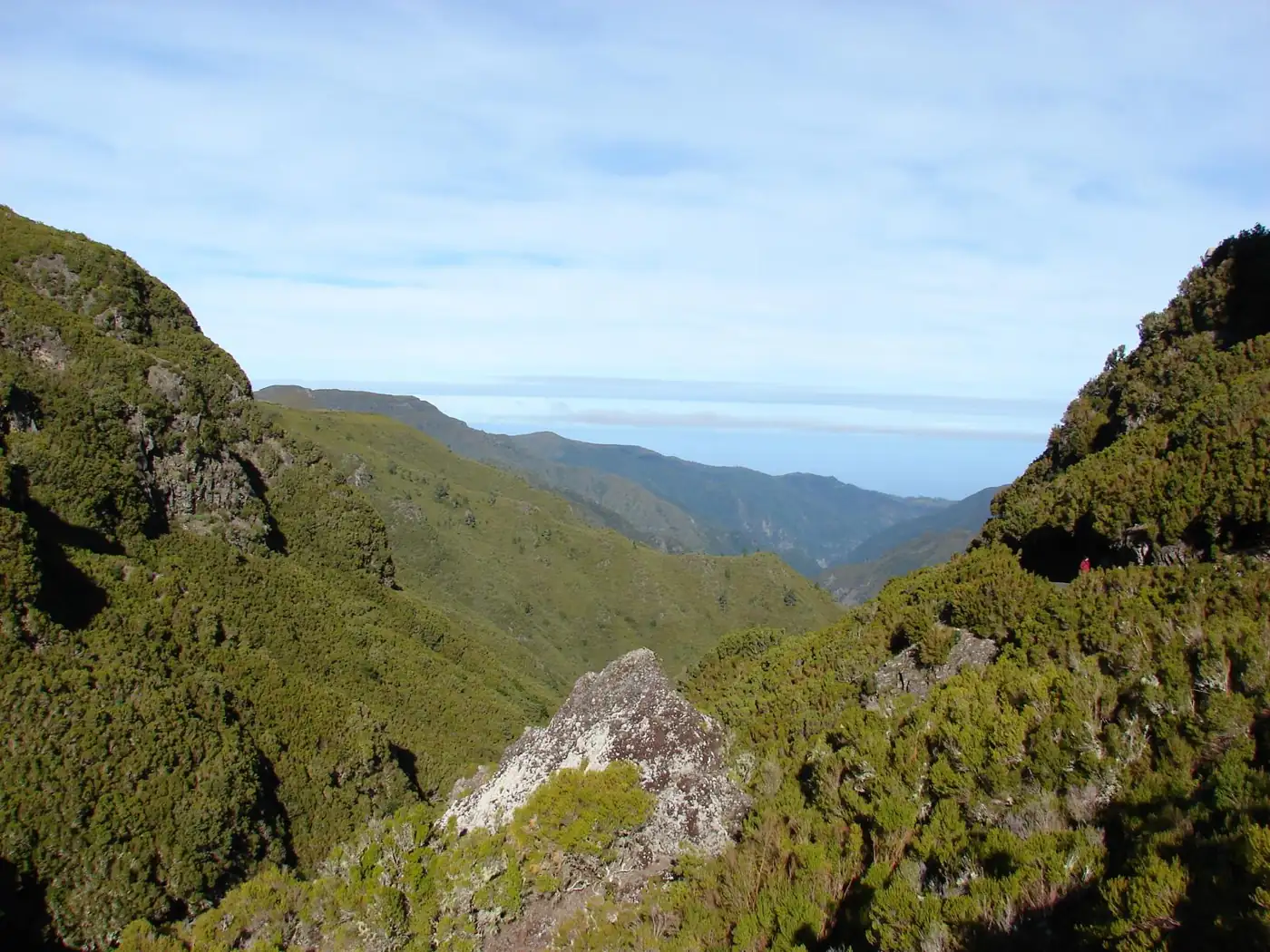 Pico da Urze · 4