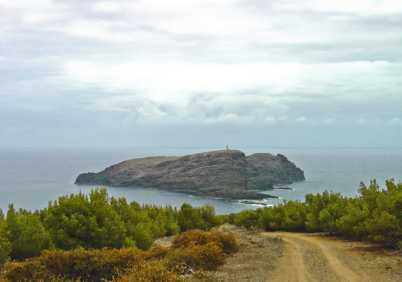 Morenos · 5