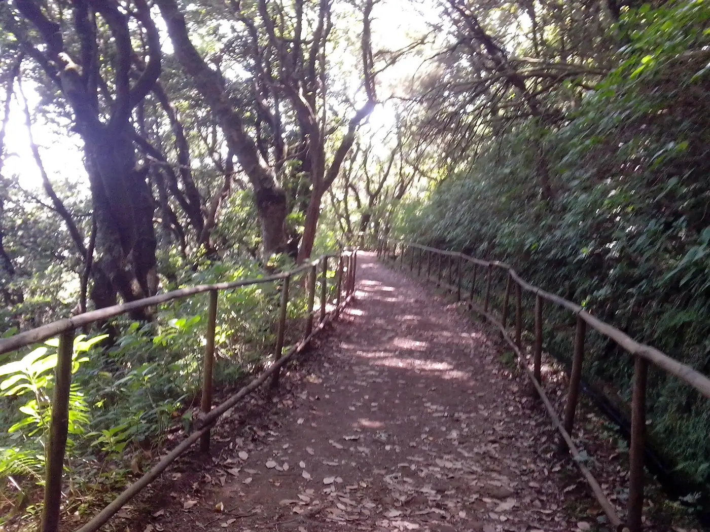 Pico das Pedras · 2