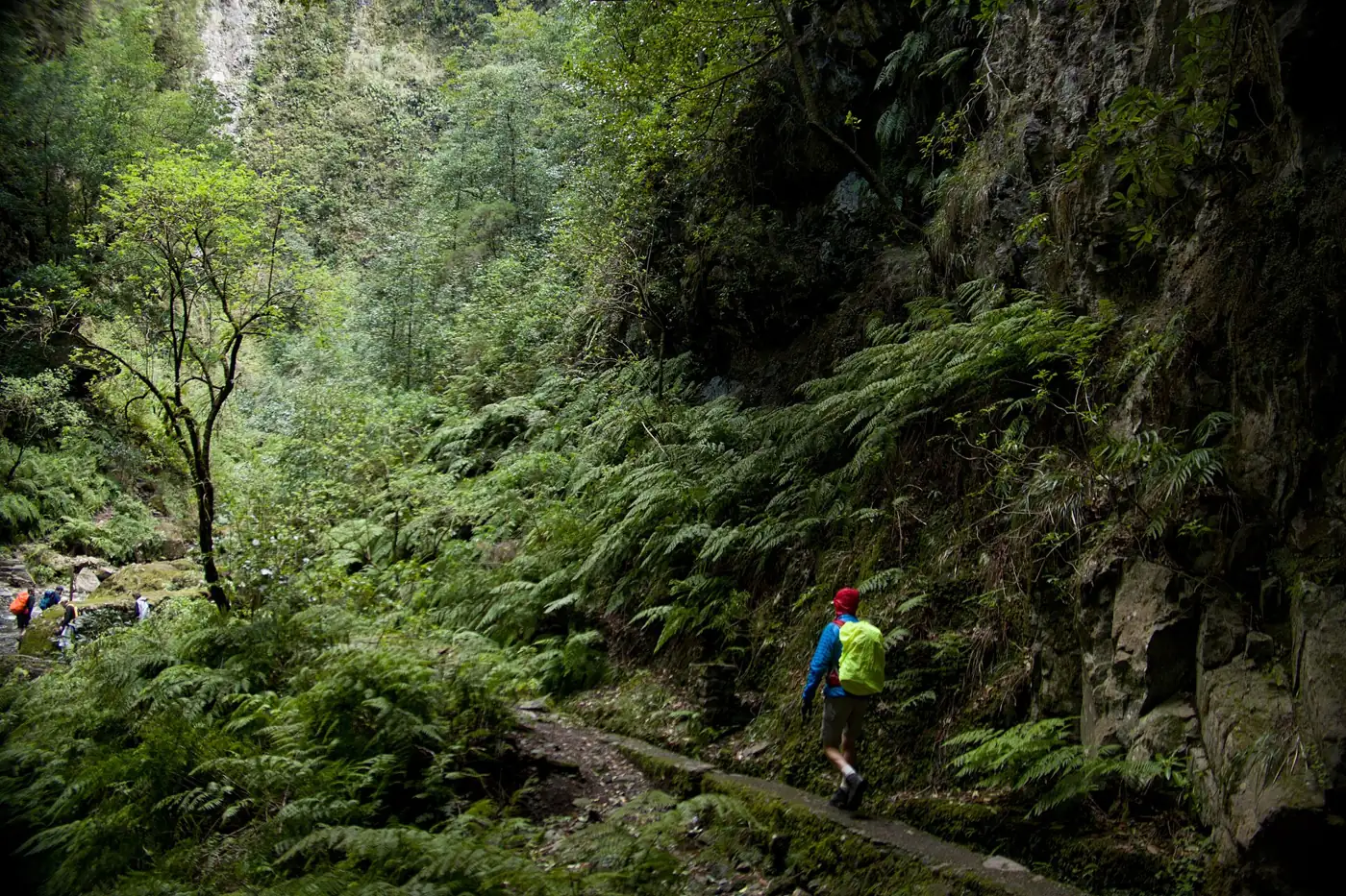 Pico das Pedras · 4