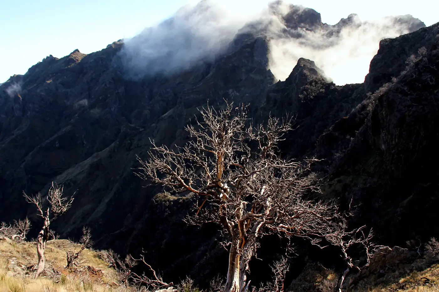 Pico Ruivo · 4