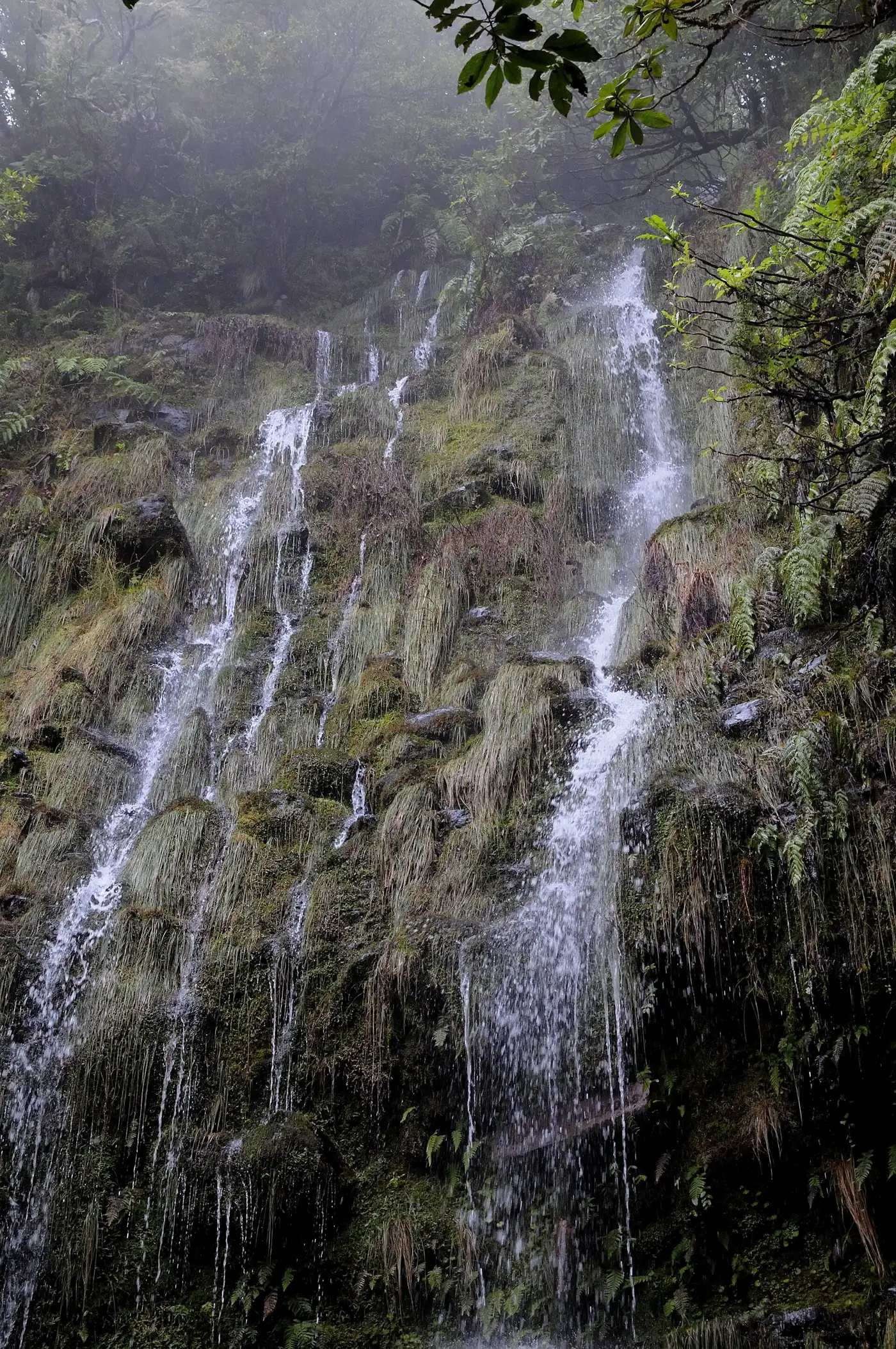 Levada do Caldeirão Verde · 2