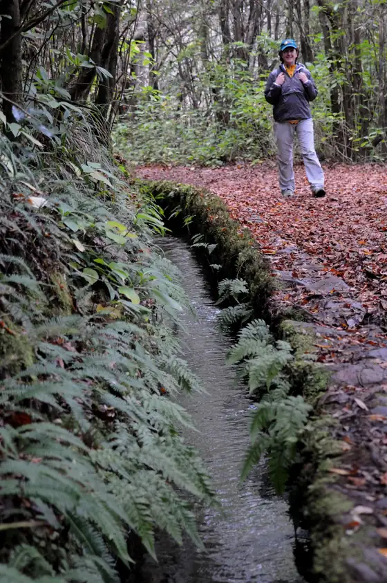 Levada do Caldeirão Verde