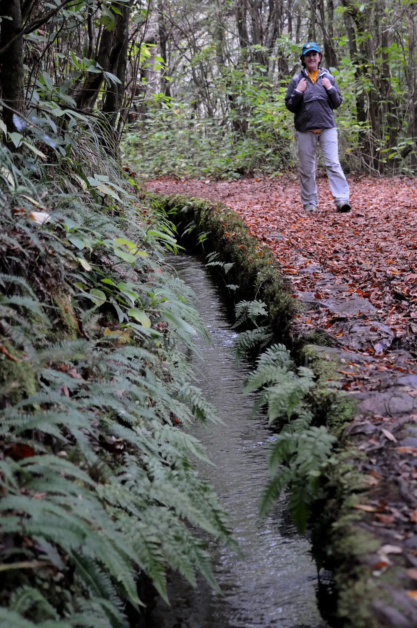 Levada do Caldeirão Verde