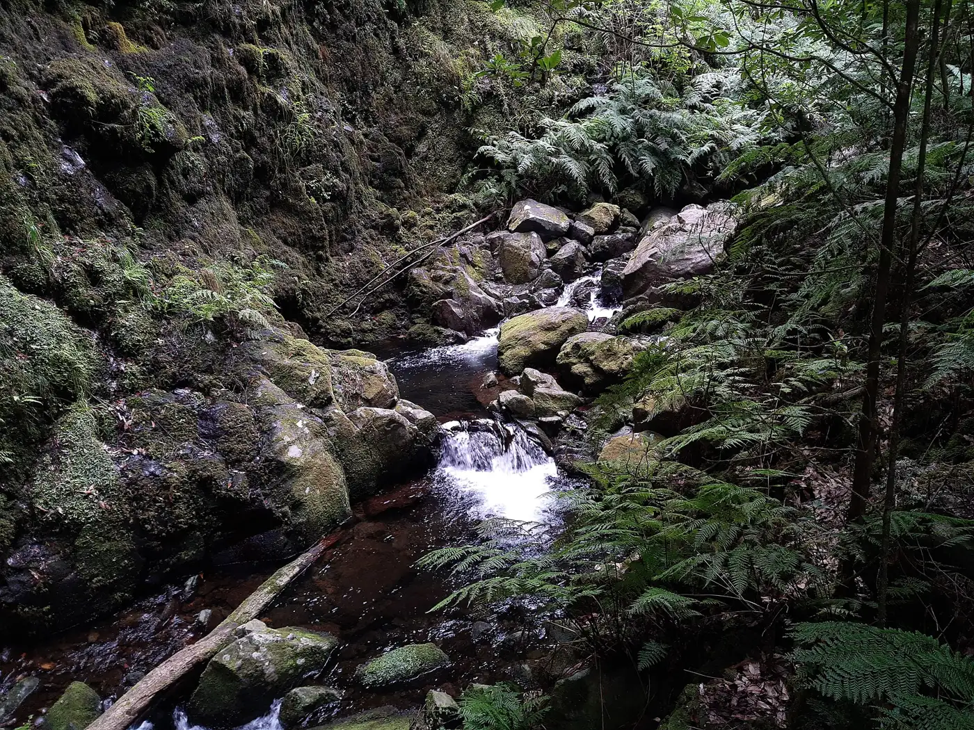 Levada do Rei
