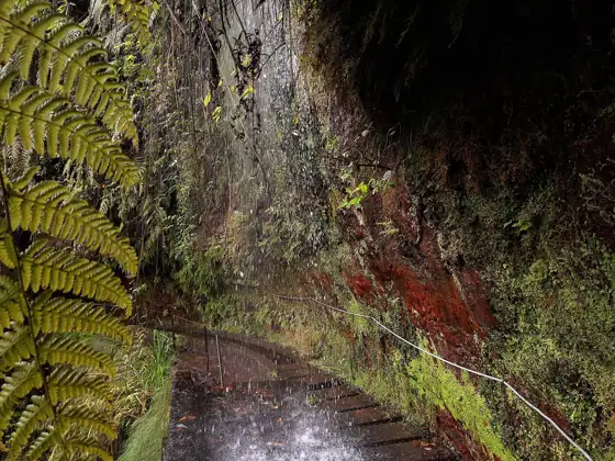 Levada do Rei