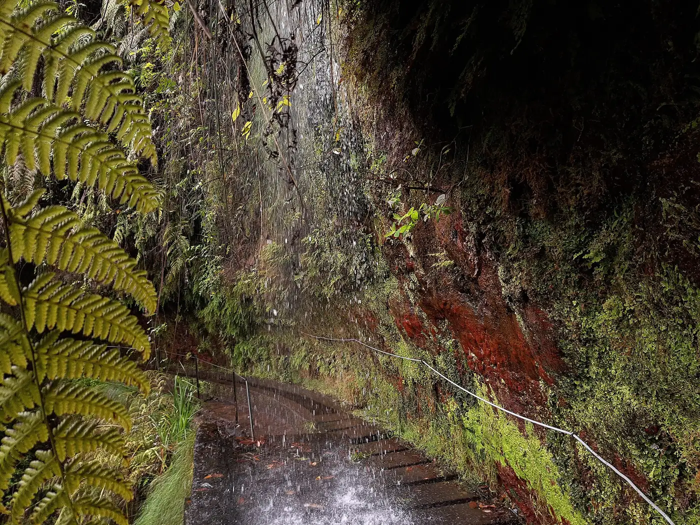 Levada do Rei