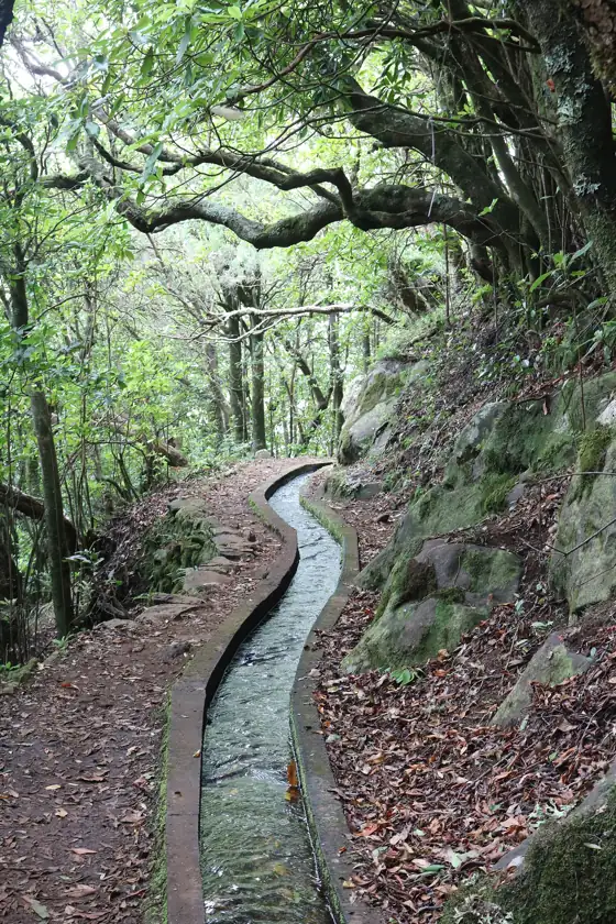 Levada dos Cedros