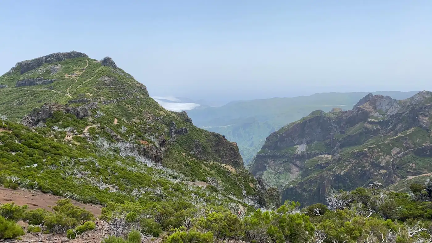 Vereda da Ilha · 2