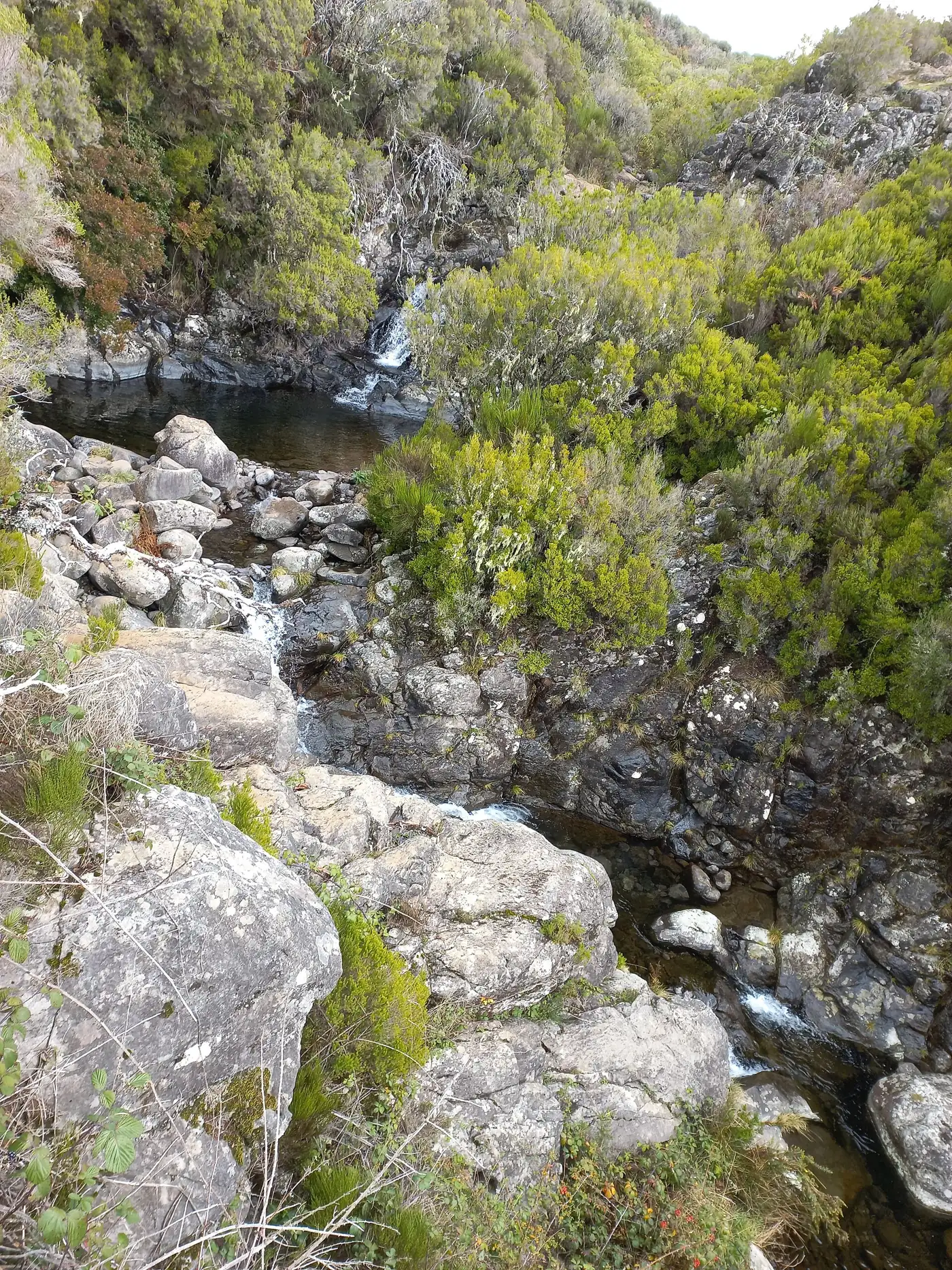 Vereda do Pico Fernandes