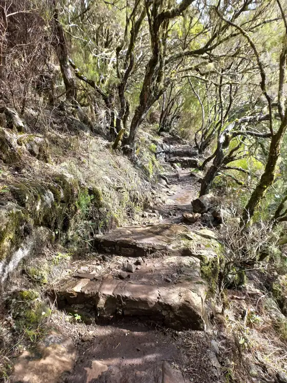 Vereda do Pico Fernandes
