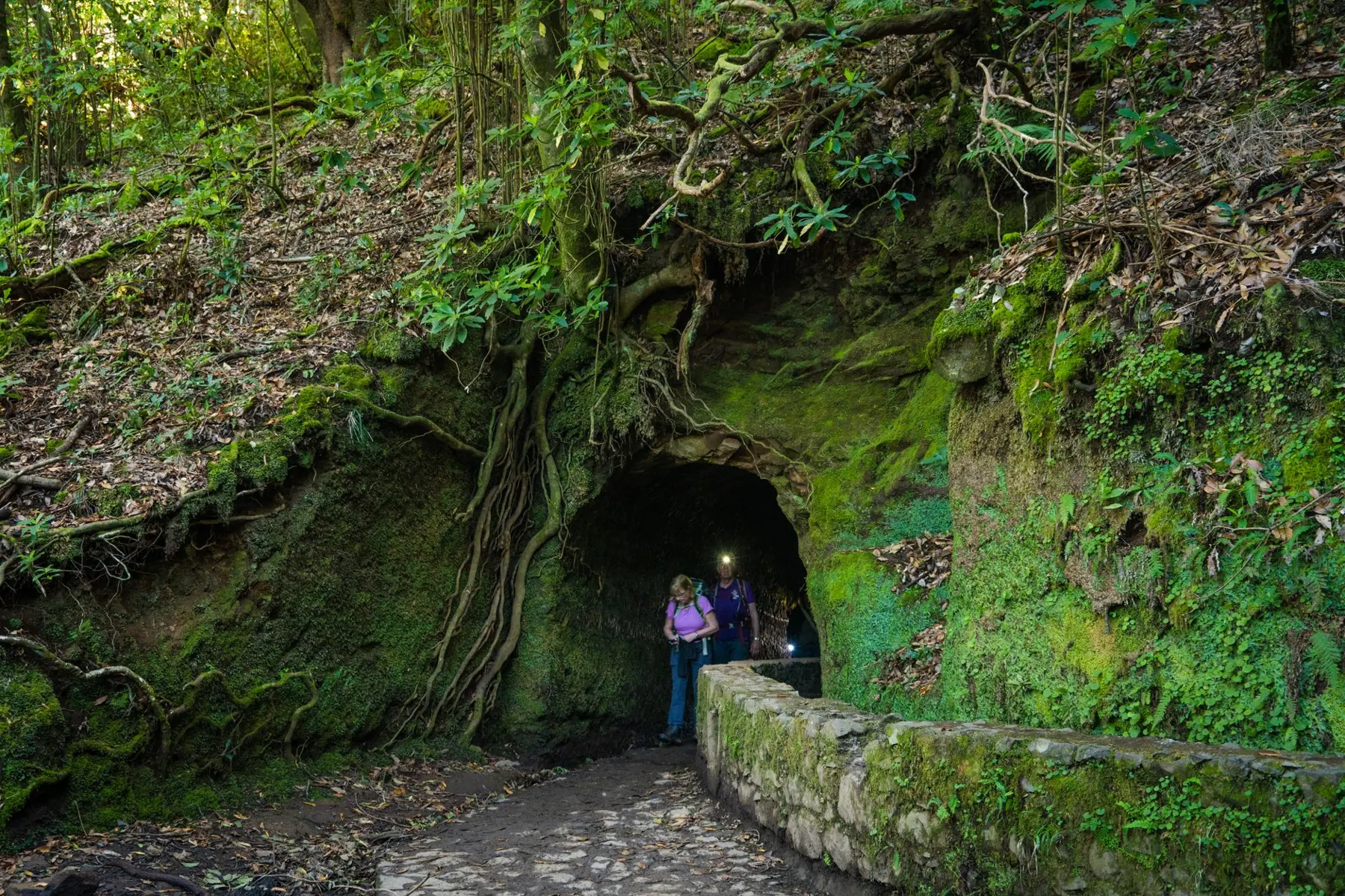 7 levada walks