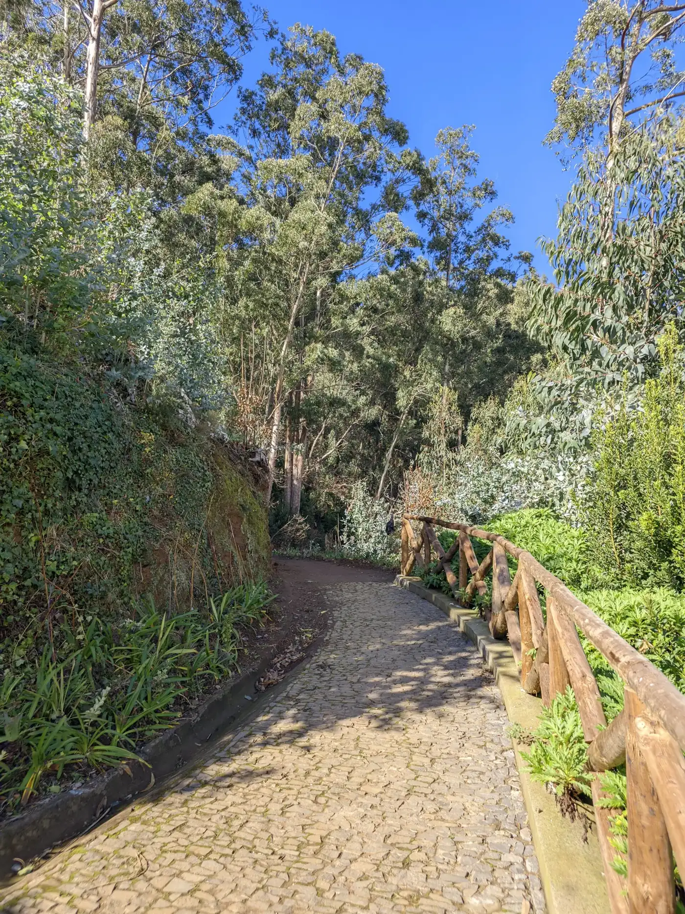 Boca dos Namorados