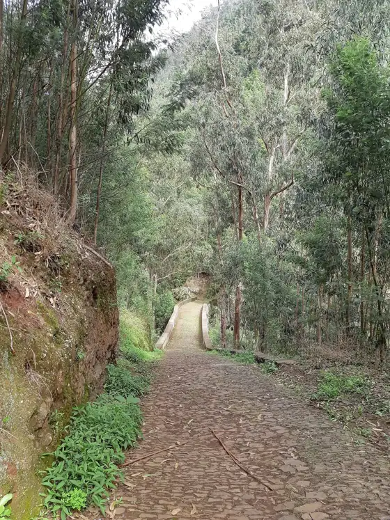 Curral dos Romeiros