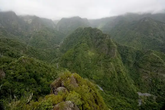 Jardim da Serra