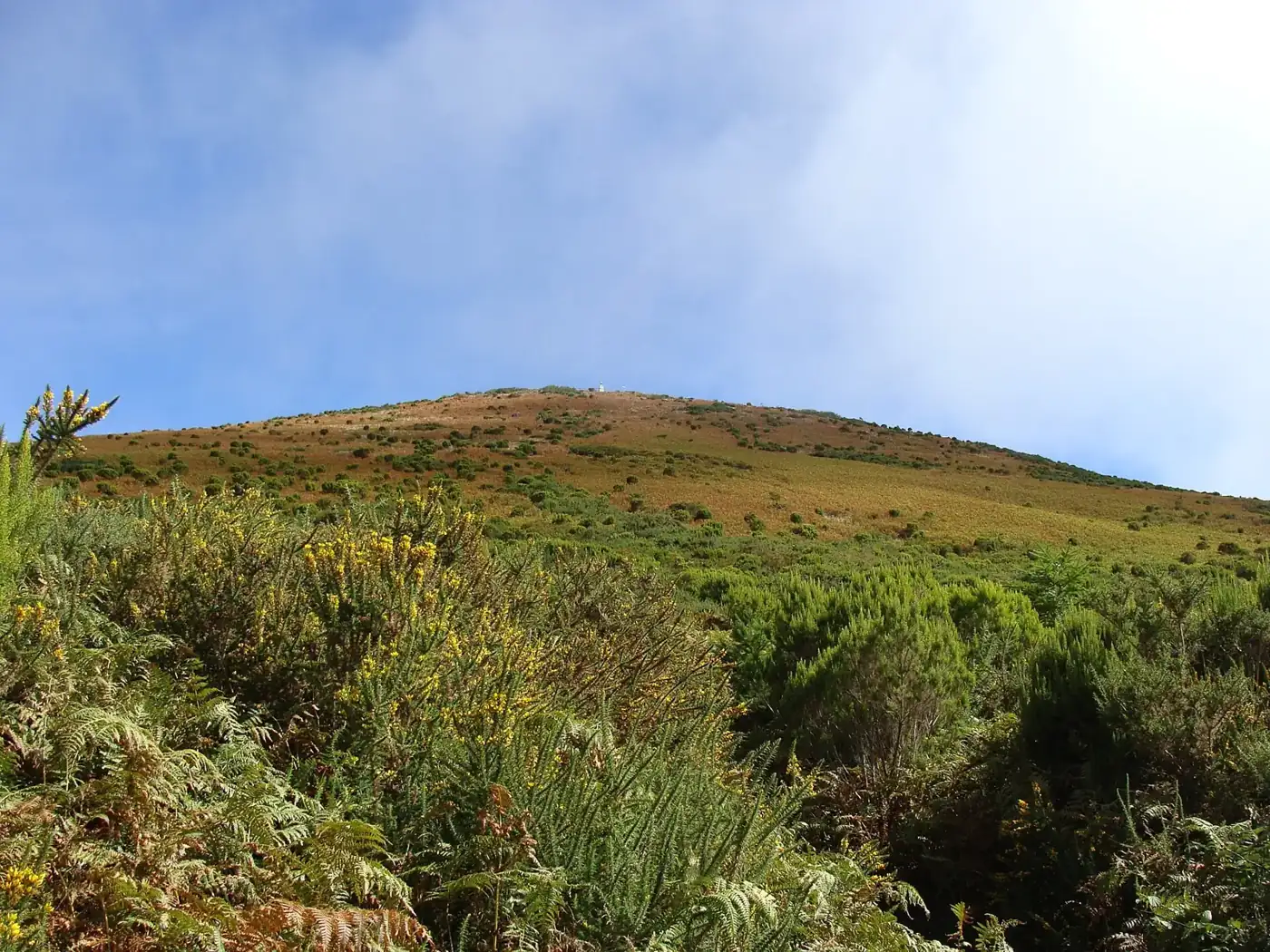 Pico Ruivo do Paul · 2