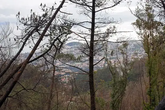 Terreiro da Luta