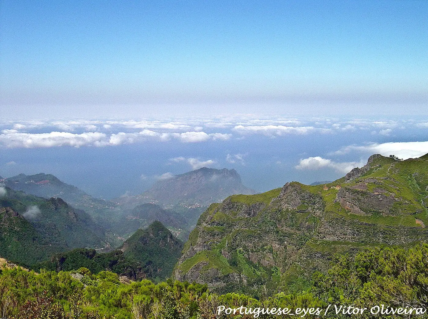 Montado do Pereiro