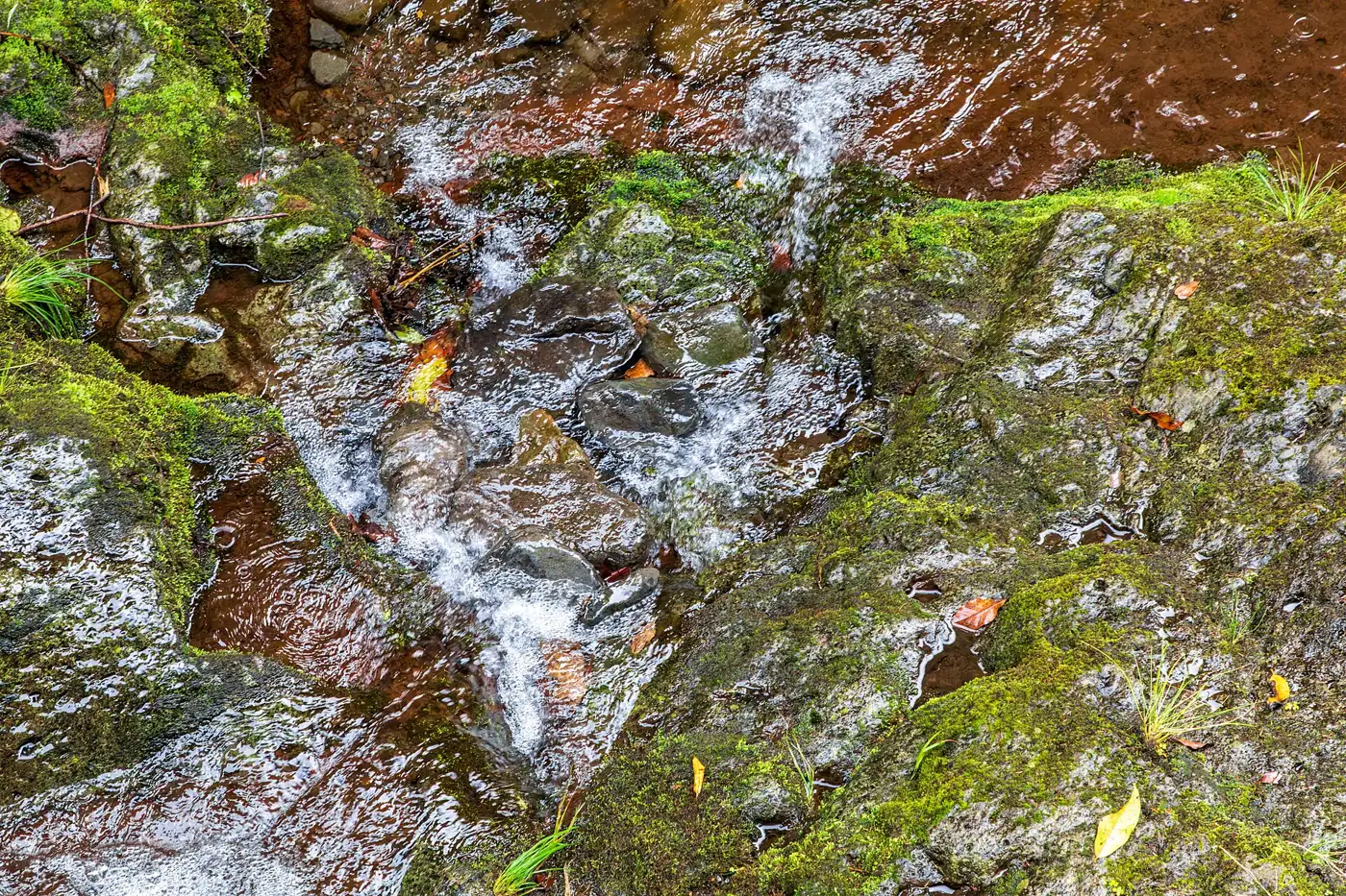 Ribeiro Frio · 2