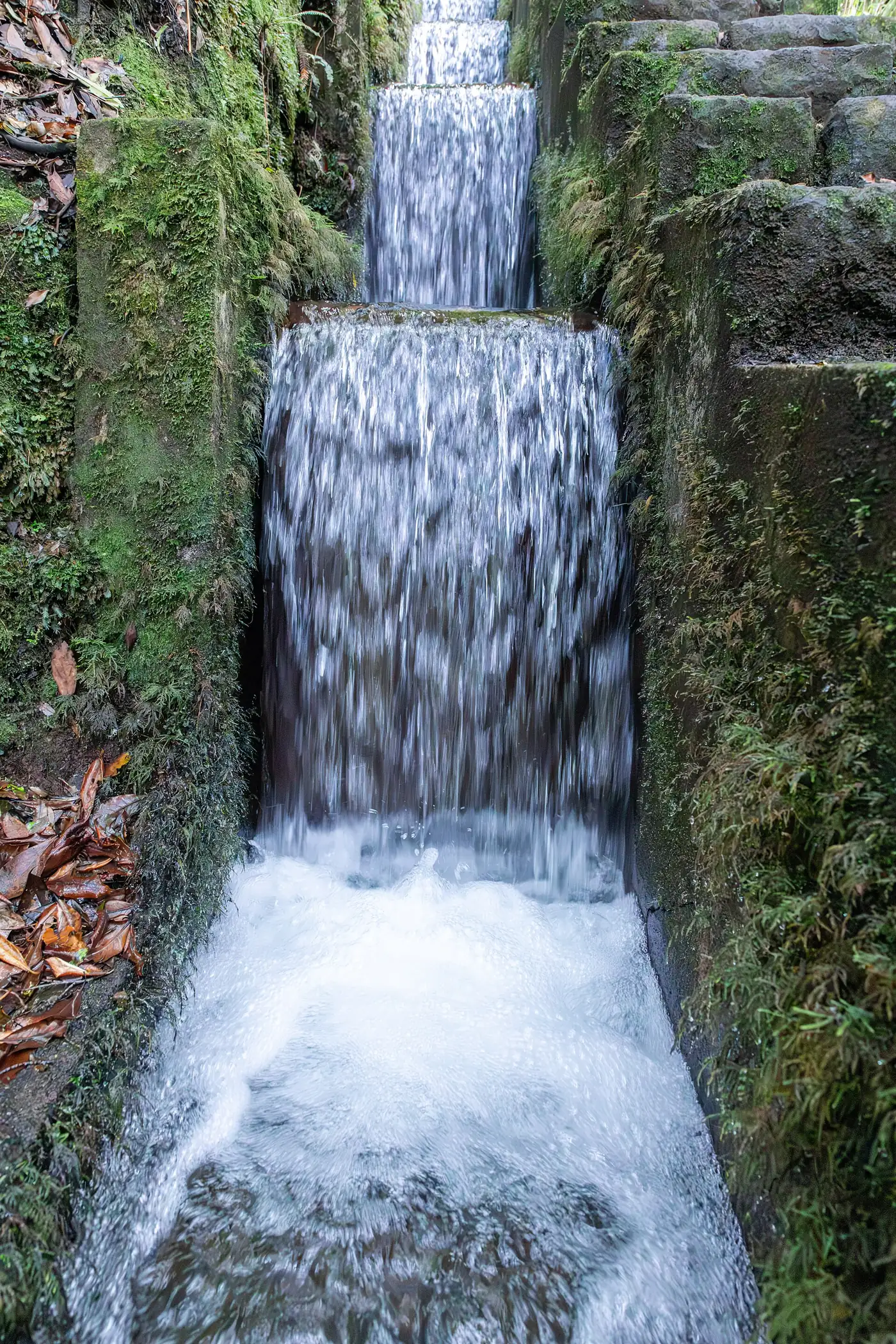 Ribeiro Frio
